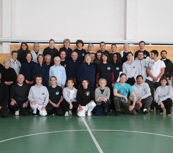 Stage Tai Chi Chi Kung Clermont