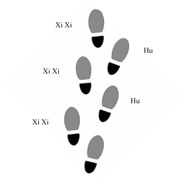 marches Xi Xi Hu