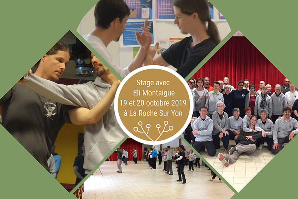 Stage Tai Chi Chuan Eli Vendee