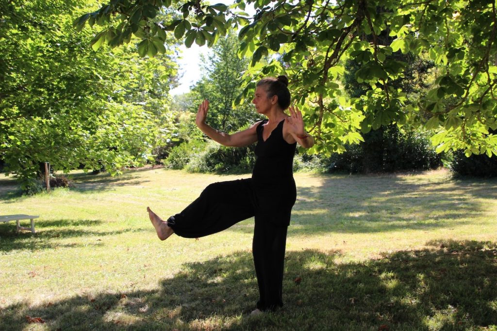 reprise des cours de tai chi chuan à clermont ferrand