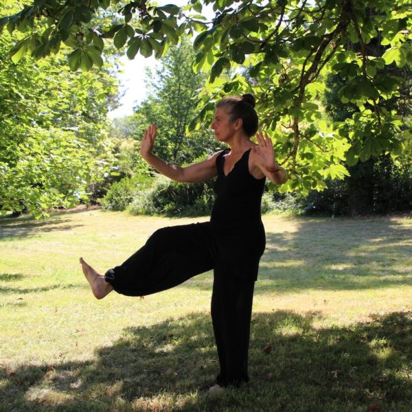 reprise des cours de tai chi chuan à clermont ferrand