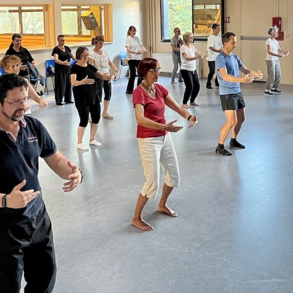 Stage Tai Chi Chuan Clermont-Ferrand