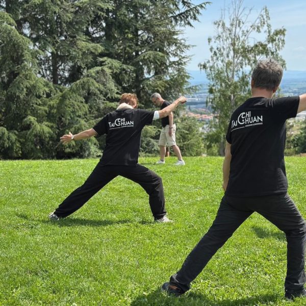 Le Tai Chi Chuan pour Tous